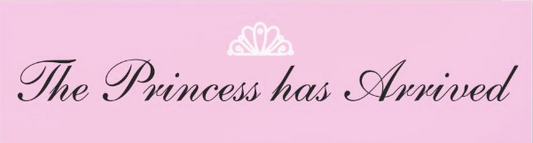 The Princess has arrived Car Magnet