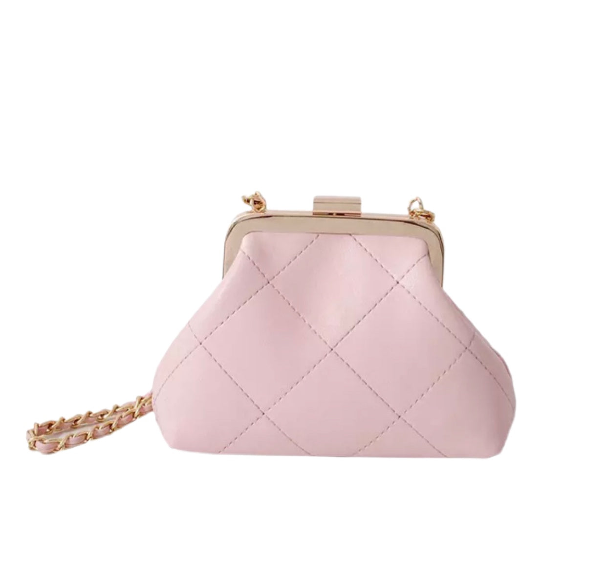 Pretty Purse on Chain (size option)