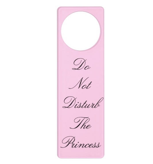 Do Not Disturb the Princess Door Hanger